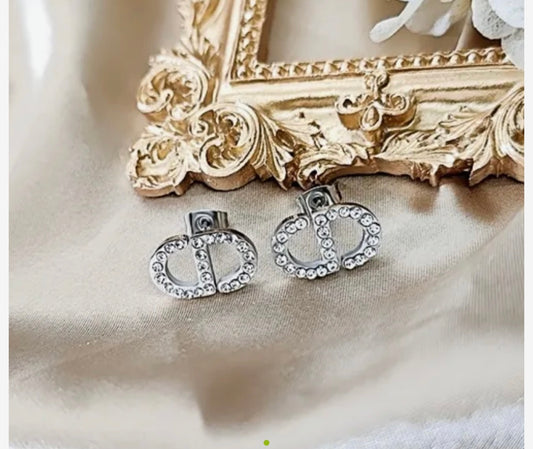 CD Silver Earrings